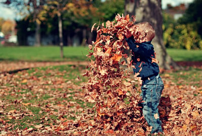 child playing in the fall leaves